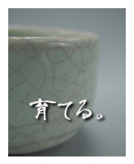 唐津ぐい呑み-育てる