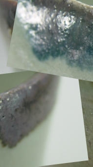 唐津ぐい呑み－唐津皮鯨