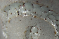 唐津ぐい呑み-彫唐津