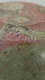 唐津ぐい呑み－青唐津