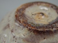 唐津ぐい呑み－粉引唐津